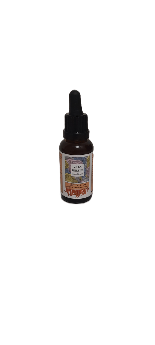 Extrait de CORDYCEPS bio
